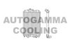AUTOGAMMA 102958 Radiator, engine cooling